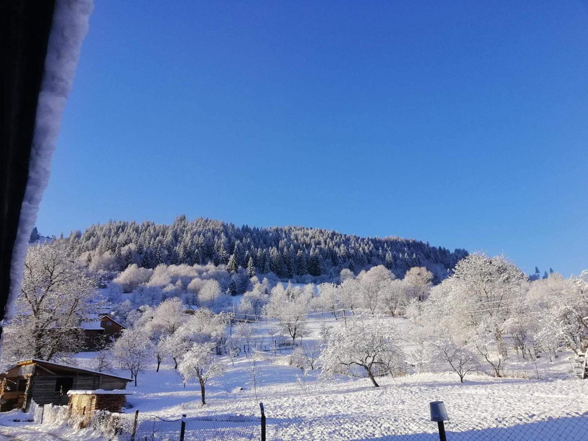 Khorotseve Анничка 빌라 외부 사진
